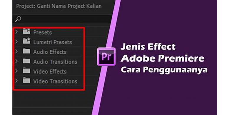 Efek Visual Adobe Premiere Pro